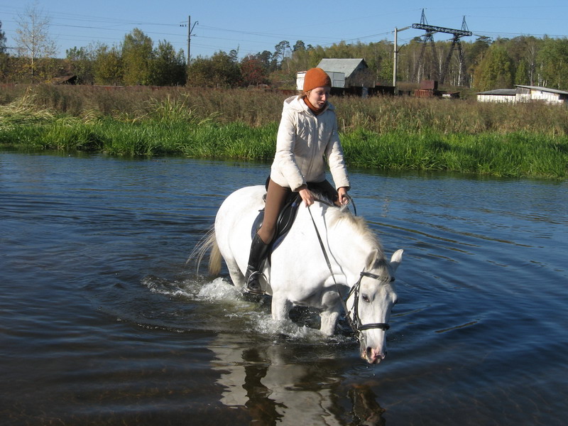 IMG_1244.jpg1.jpg"%20height="600"%20width="800